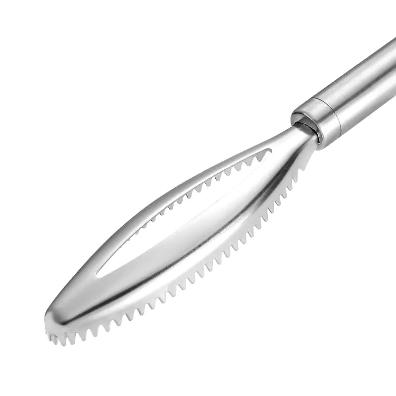 Fish Scale Scraper - 430 Stainless Steel Tool