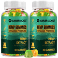 Hemp Gummies High Potency (2 Packs) -Natural Pure Extra Strength Edible Organic Hemp Gummy - Organic Hemp Oil Extract Vegan Bear Gummies - Made in USA