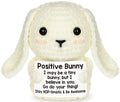 Mini Inspirational Positive Crochet Animals Bunny Cute Stuff Funny Easter Gift for Women Men Coworker Friend Emotional Motivational Bunny Decor Birthday Valentines Valentines Gift for Him Her