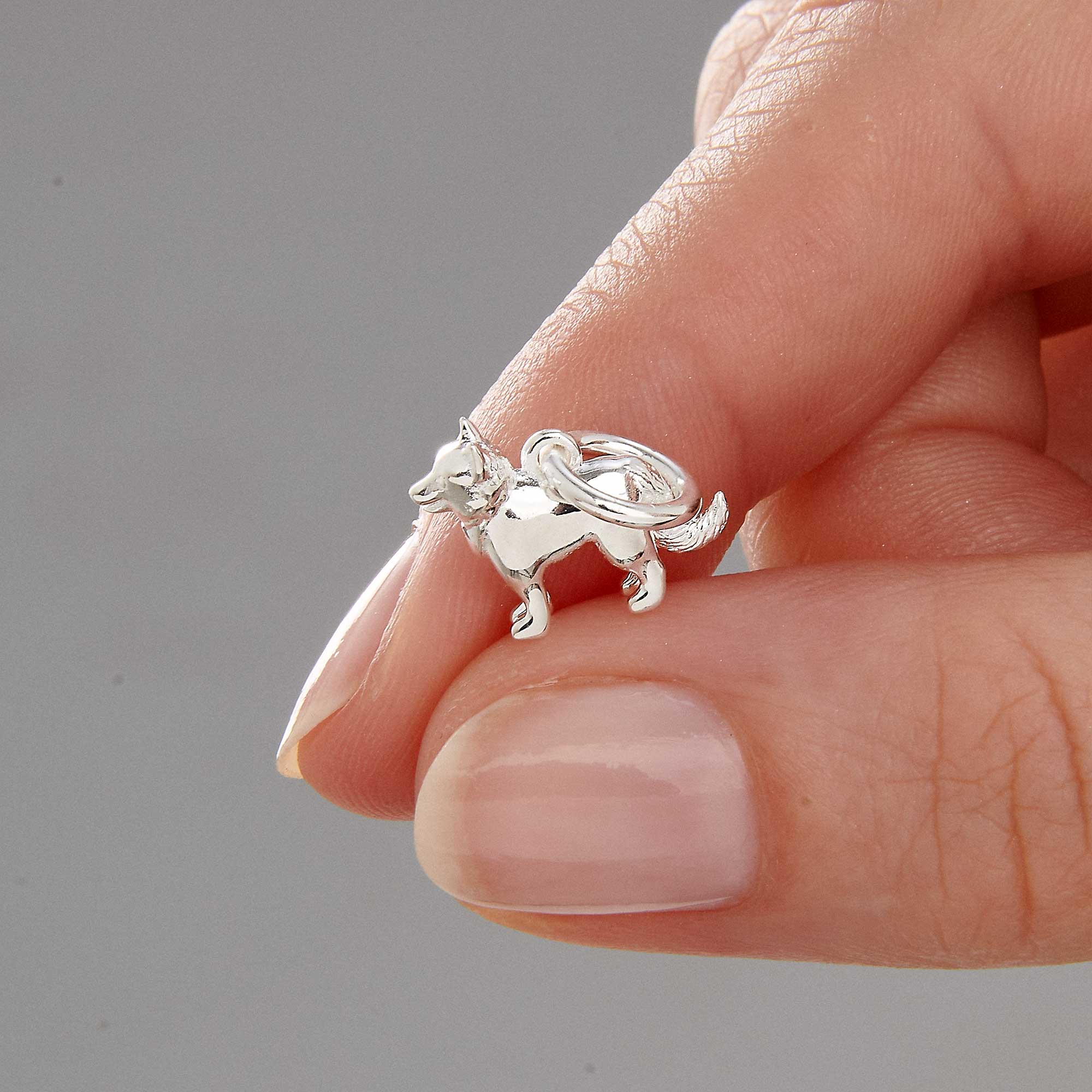 Border Collie Silver Dog Charm - Jays Shop uk