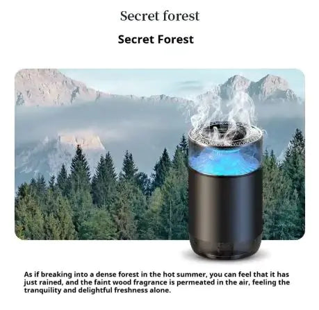Car Fragrance Diffuser